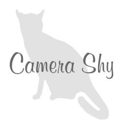Shelton Veterinary Care - Shelton Veterinary Care -