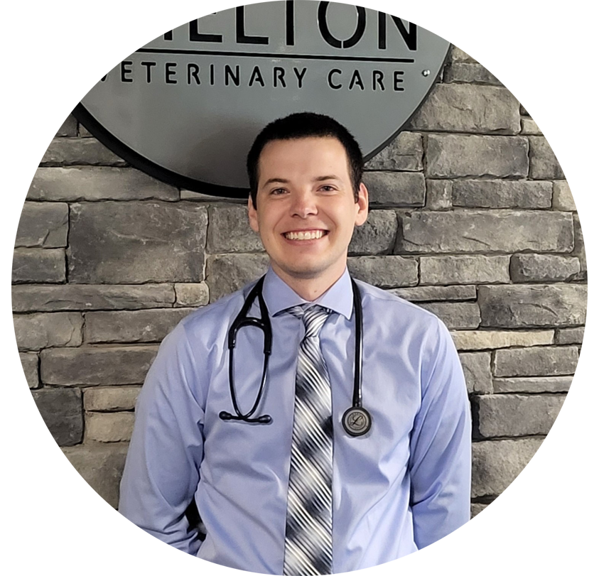 Shelton Veterinary Care - Kyle Shelton, DVM