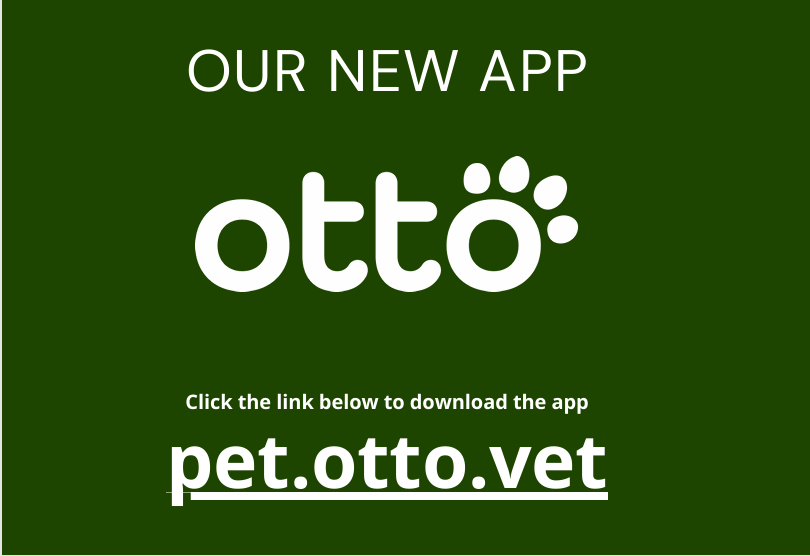Otto App